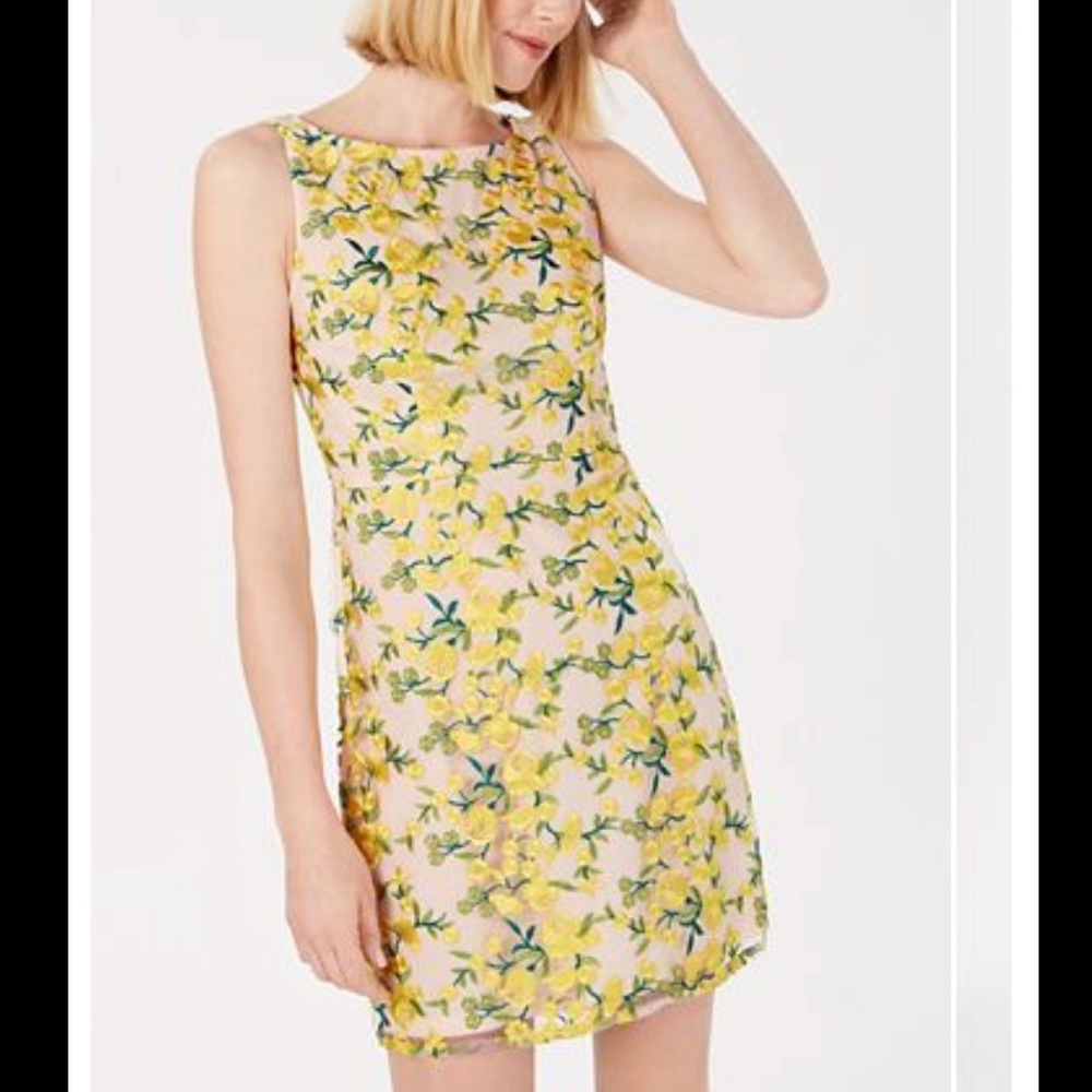 Embroidered Overlay Mini Dress